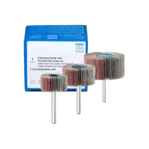 Zestaw ściernic wachlarzowych Korund A 80 Ø 30 x 15 mm, Ø 40 x 20 mm i Ø 60 x 30 mm trzpień – Ø 6 mm